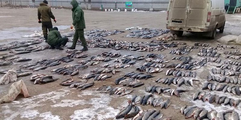 Астраханские браконьеры открыли "весеннюю путину"