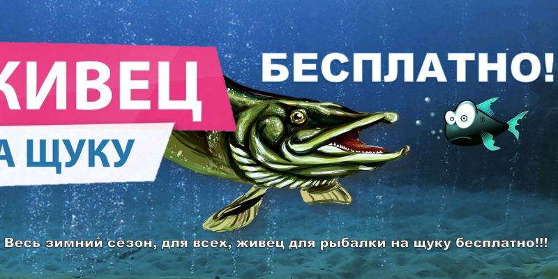 Акция на платной рыбалке в Ихтиолог - Живец для рыбалки на щуку Бесплатно!